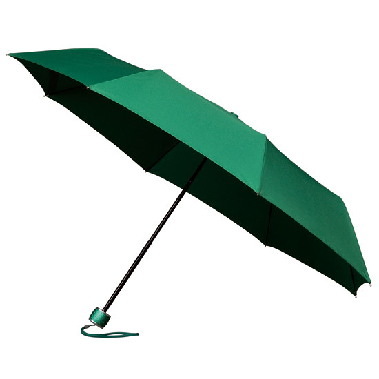miniMAX® Taschenschirm Bestellen Online - Regenschirme Grün